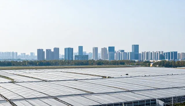 网站效果图制作在网站优化中的选型与使用建议