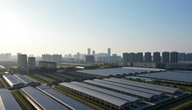 株洲做网站如何实现高效技术运维