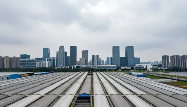 大连网站制作中的页面加载速度影响用户体验